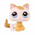 Little Pet Shop Lps Shorthair Cat Toy Figure Collectible Animals For Kid Gift