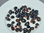 40 Nerite Snails   Mixed Pack - Live Freshwater Snail     