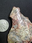 Ojuelos De Jalisco Ancient Stone Artifact Fragment Showing Helmeted Being 