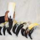 10 Horn Medieval Horn Viking Drinking Horn Authentic Medieval Beer Horn Tankard
