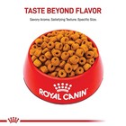 Royal Canin Breed Health Nutrition Labrador Retriever Adult Dry Dog Food  30 Lb