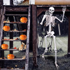 5 4ft Halloween Skeleton Full Body Life Size Skeleton Bones With Movable Joints