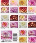 Usps 5 Booklets  100 Stamps In Total For Collection  Postage Dahlias