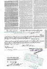 Bond Stores  Incorporated Stock Certificate For 100 Shares  canceled 