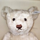 1921 White Steiff 40 Cm Bear From 1996 L e  4 000 Pcs  Nos Nrfb Perfect Cond 