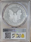 2019 W American Silver Eagle Pcgs Pr-69 Dcam