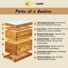 Beecastle 10-frame Langstroth Beeswax Coated Beehive With Windows  2 Boxes 