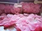Real Rose Petals natural Petals For Wedding Party Decorations dried 8 11oz Pink