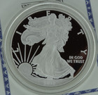 2010-w Proof American Silver Eagle Dollar  1  Coa Us Mint Bullion Missing Box