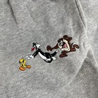 Vintage 90s Looney Tunes Wb Gray Taz Tweety Sylvester Embroidered Sweats Sz M