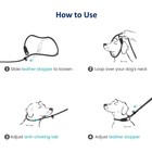 Dog Training Slip Leash  No Pull  Durable Reflective Lead  Puppy Heavy Duty Loop