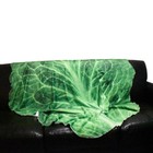 Super Soft Novelty Throw Blanket 59  Fleece Keto Food Wrap Green Lettuce Leaf