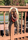 Vintage Indian Reservation Hand Carved Wooden Tribal Mask With Hair Signed