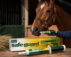 Safe-guard Equine Paste 10  Fenbendazole Horse Wormer Apple Flavor 25g