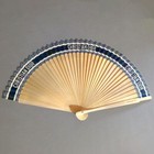 Brand New Christian Dior Dioriviera Folding Fan Navy Black Sensu Novelty