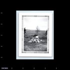 Old Vintage Photo Woman Boy Girls Field Decorative Border Original Snapshot