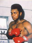 Muhammad Ali 8x10 Autographed Photograph Cassius Clay Boxing Champion Signed