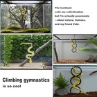 Diy Snake Climbing Accessories With 7  Ways To Play For Ball Python And Corn 