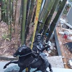 Frederic Remington Indian On Horse Bronze Sculpture  13 h X 9  L X 7  W Signed 