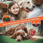 Paipaitek No Shock Dog Training Collar With Remote 3300ft Range - No Prongs