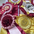 Horse Show Ribbons Large Rosettes Lot Of 10 Vintage Awards Red Pink Yellow