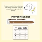 Western Leather Collar Handmade Pet Dog Collar Heavy Duty Hand Tooled Adjustable