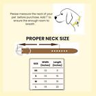 Western Leather Handmade Pet Dog Collar Heavy Duty Hand Tooled Adjustable