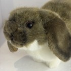 Hansa Creation Hand Crafted Bunny Plush Realistic Rabbit Easter Decor Nwt