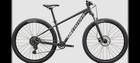Specialized Mountain Bike 29 Unisex