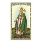 Irish Blessing Prayer - St  Patrick - Laminated Holy Card