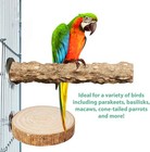 4pcs Natural Wood Bird Perch Set - Multi-branch Parrot Stand For Small Birds