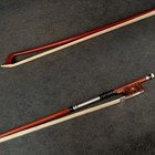 Pro Master Antique Pernambuco Violin Bow 4 4 Snakewood Parisian Eye Silver Parts