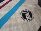 Big Lizard Wooden Skimboard 40 X 20 Large - Beach Lake Summer Vacation Fun Board