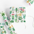  Cactus Wrapping Paper -mini Roll- 17 Inch X 32 8ft Watercolor Succulent Cactus