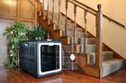 Mirapet Usa Pet Carrier   Crate 35  Large Premium Collapsible Design Cat   Dog