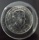 2013 Canada 1 Oz Silver Maple Leaf Bu
