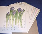 A Bouquet For 1996 Calendar - Ling Chang - Twelve Flower Prints 11  X 14 