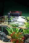Fluval C2 Power Filter  Fish Tank Filter For Aquariums Up To 30 Gal   14001