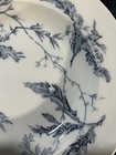 Very Rare Antique Wedgwood Seaweed Shallow Bowl Blue In White 10 1 8   