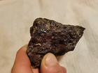 Prehistoric Fossilized Skull In Matrix 