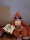 Disney Store Mini Bean Bag Plush Lot Of 2 Baloo  King Louie  8  Nwt