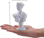 Greek Goddess Bust Statue Sculpture Home Decorations  Classic Aphrodite White 
