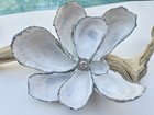 Oyster Shell Magnolia Flower Decoration Handmade One Of A Kind   a4
