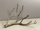 Manzanita Wood  Burnt Driftwood  Reptile Tank Decor   Aquascape  Terrarium