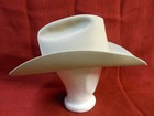 Vintage Resistol 20x Beaver  Diamond Horse Shoe   7 1 2 W  Hard Case  Beautiful 