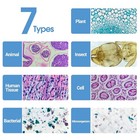 120 Microscope Slides With Specimens For Kids And Adults  Prepared Slides For Mi