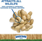 In-shell Raw Peanuts - Bulk Unprocessed For Wildlife Animal Food  Squirrels Chip