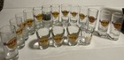 Hard Rock Cafe Shot Glasses  Classic Logo  City Editions   Lot Of 17