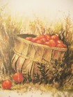 Vintage Birthday Greeting Card Bushel Basket Of Apples Artist M  Berbdre 