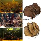 10pcs Catappa Indian Almond Leaves Ketapang Leaf Shrimp Care Hotn Betta T0t4